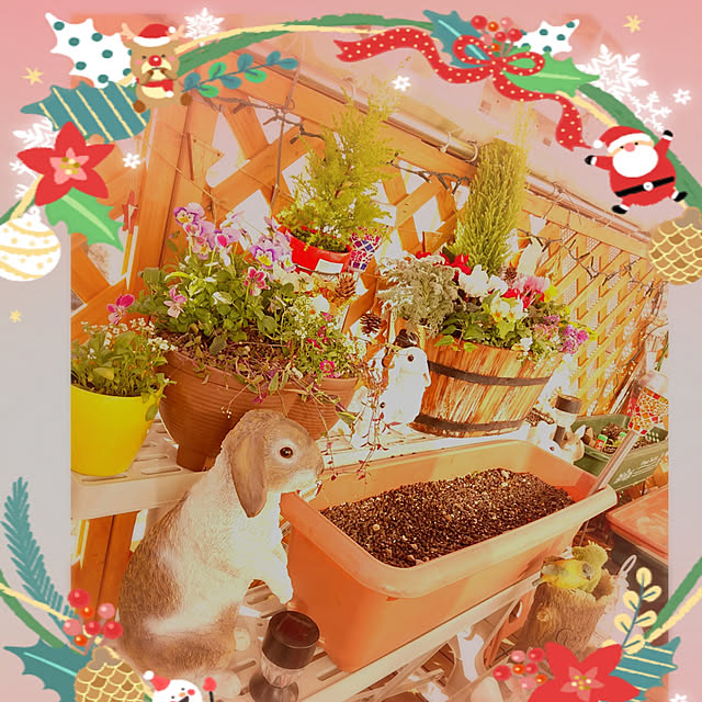 mariaさんの実例写真