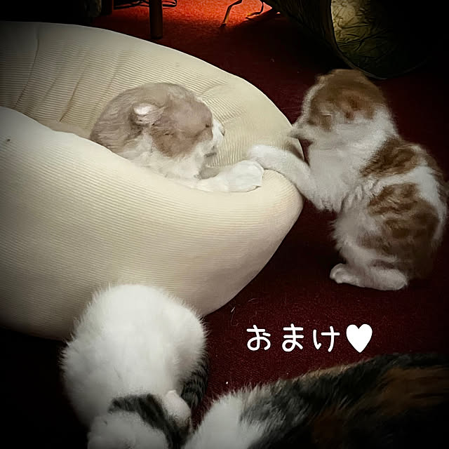 marusanさんの部屋
