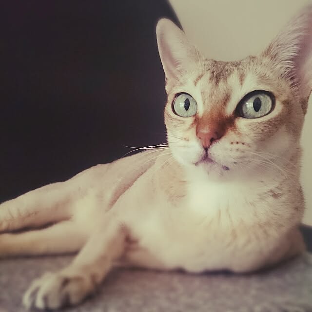 Jcさんの実例写真