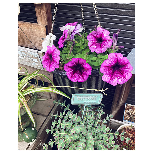 CoCo0617さんの実例写真