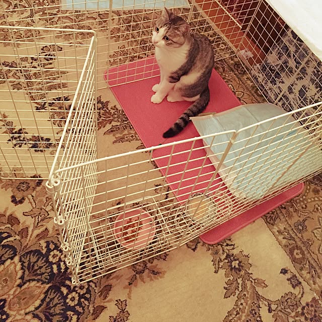emmyyさんの実例写真