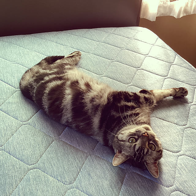 richanさんの実例写真