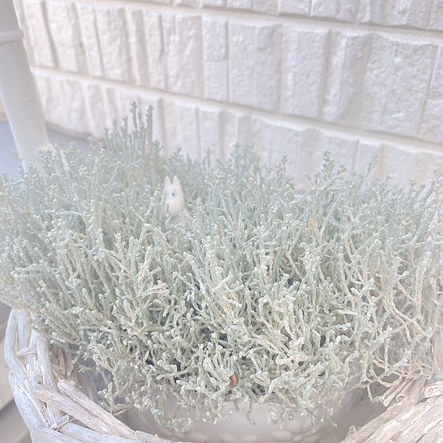 akiko-ovさんの実例写真