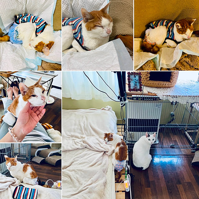 YUKAさんの部屋
