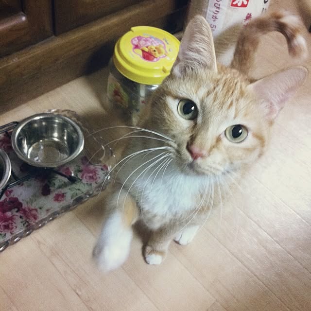 Yasumiさんの実例写真