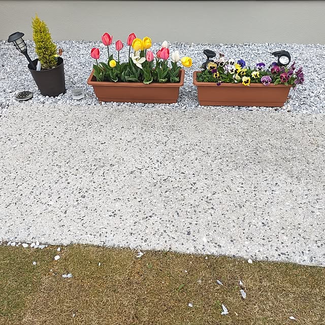 k.tさんの実例写真