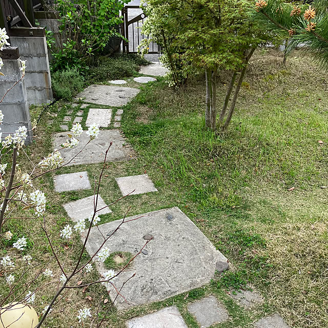 tuutikkiさんの実例写真