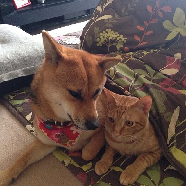 mtkさんの実例写真