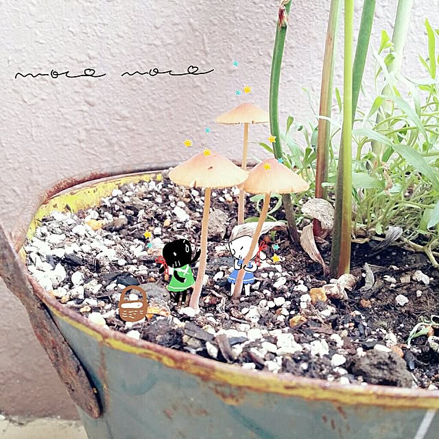 moco-mocoさんの実例写真