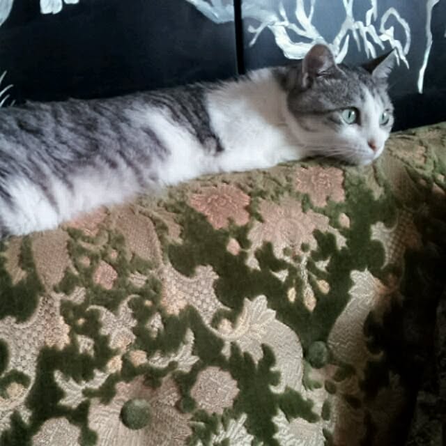 emmyyさんの実例写真