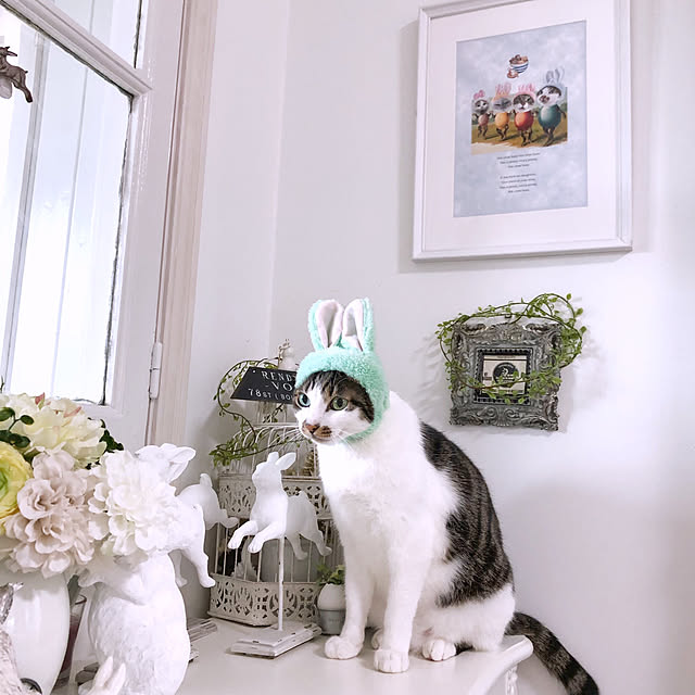yuchiさんの実例写真