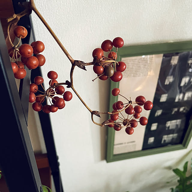 miyamiyaさんの部屋