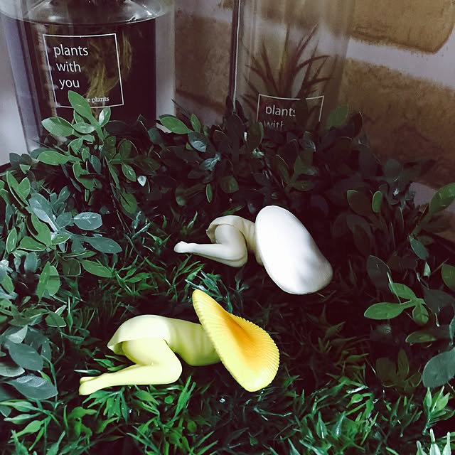 imopoteさんの実例写真