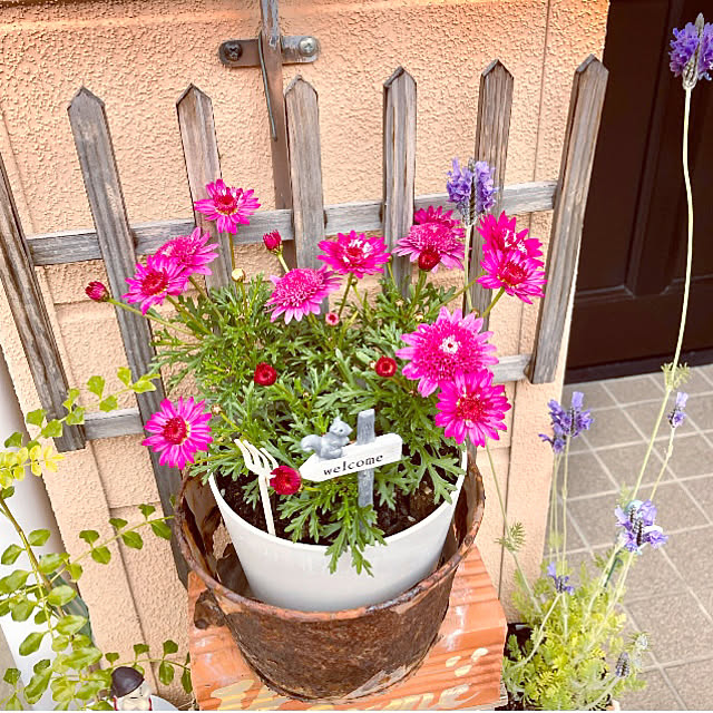 takakoさんの部屋