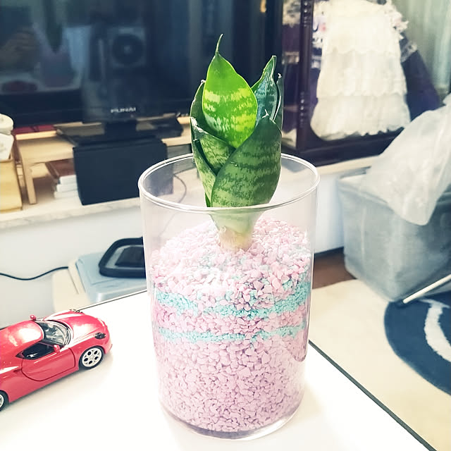 Tさんの実例写真