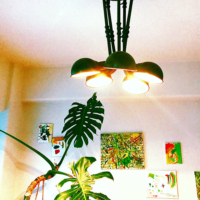 sissさんの実例写真