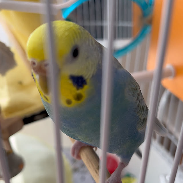 Atsukoさんの部屋
