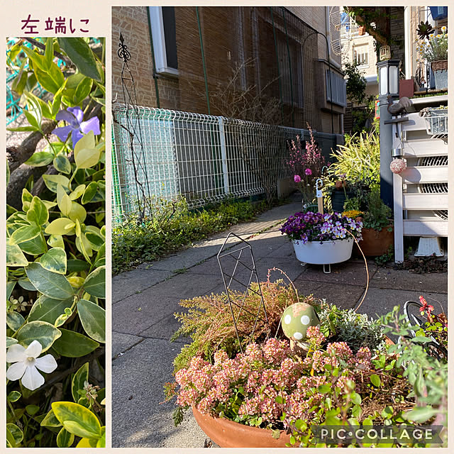 Lufuさんの実例写真