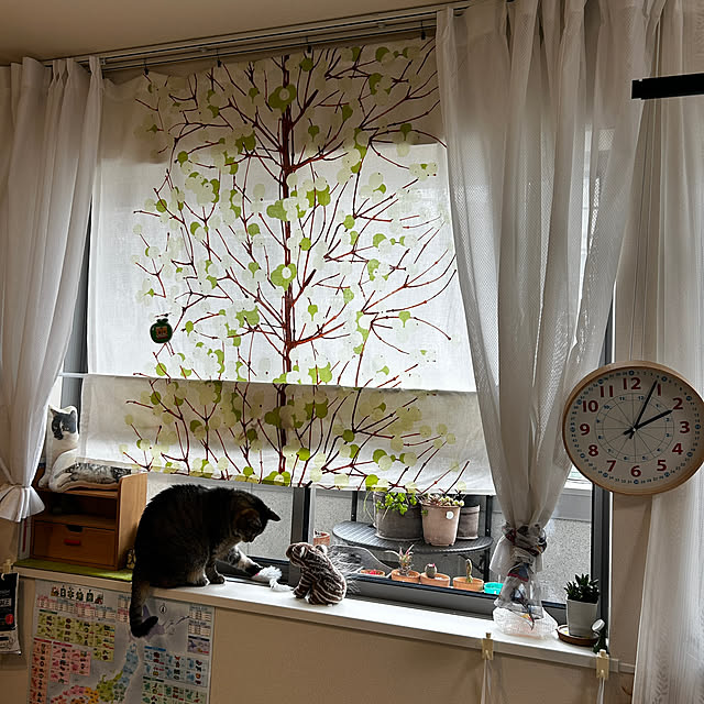 mikomaruさんの実例写真