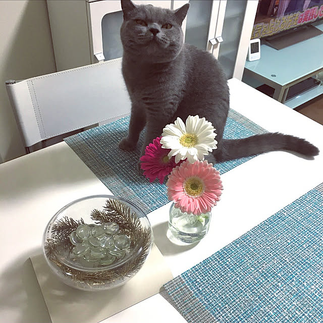 kittyさんの実例写真