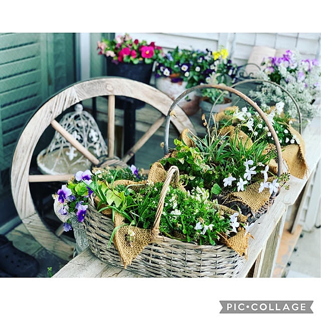 Rinrinfrenchさんの実例写真