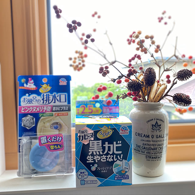 cocochiさんの実例写真