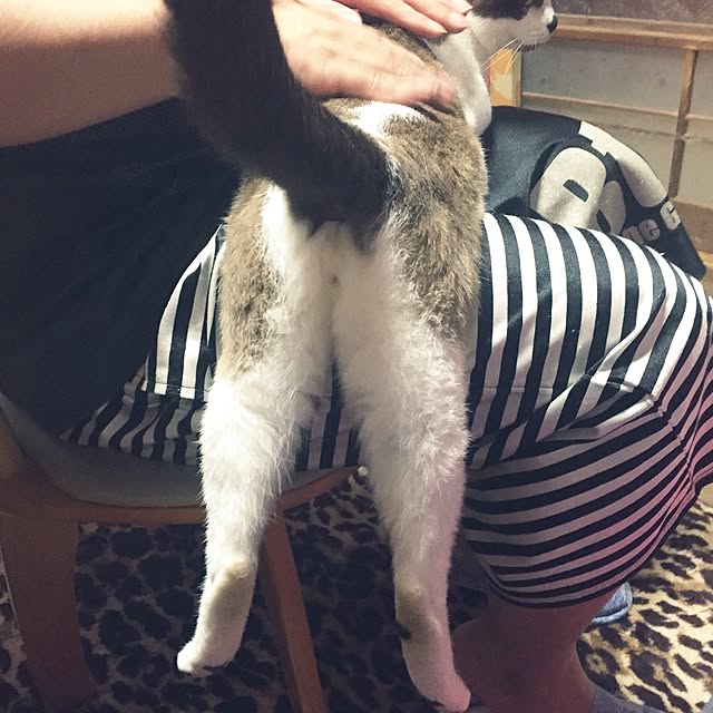 vivienne.coco-keiさんの実例写真