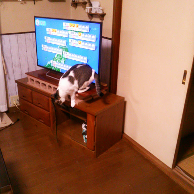実例写真
