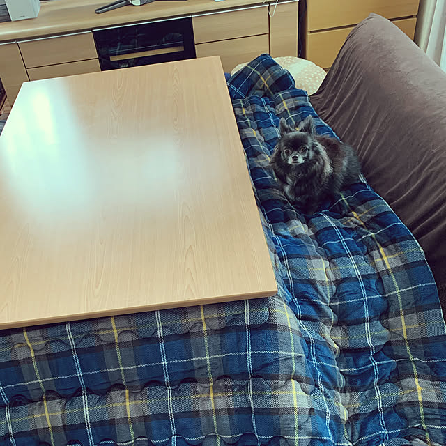 eriさんの実例写真