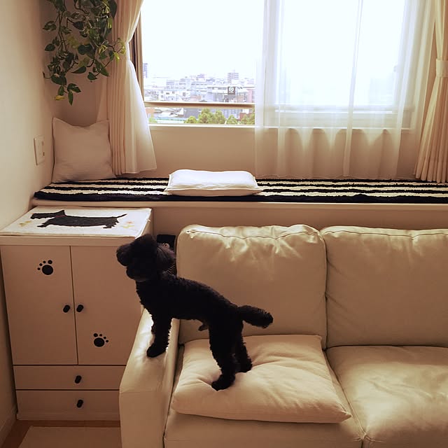 kyatagomさんの実例写真