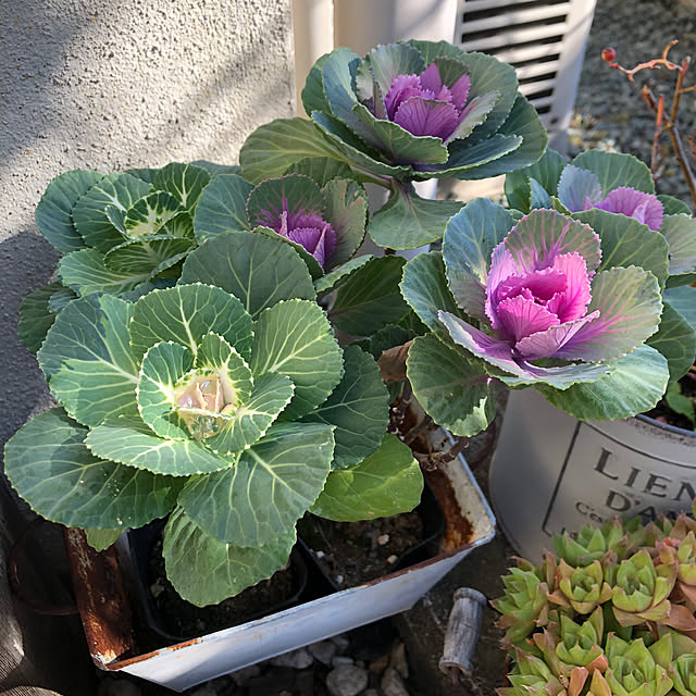 yukkoさんの部屋