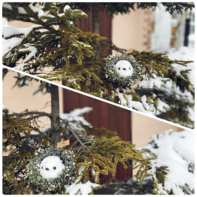 usagiさんの部屋