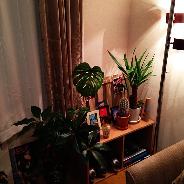 Junichiさんの実例写真