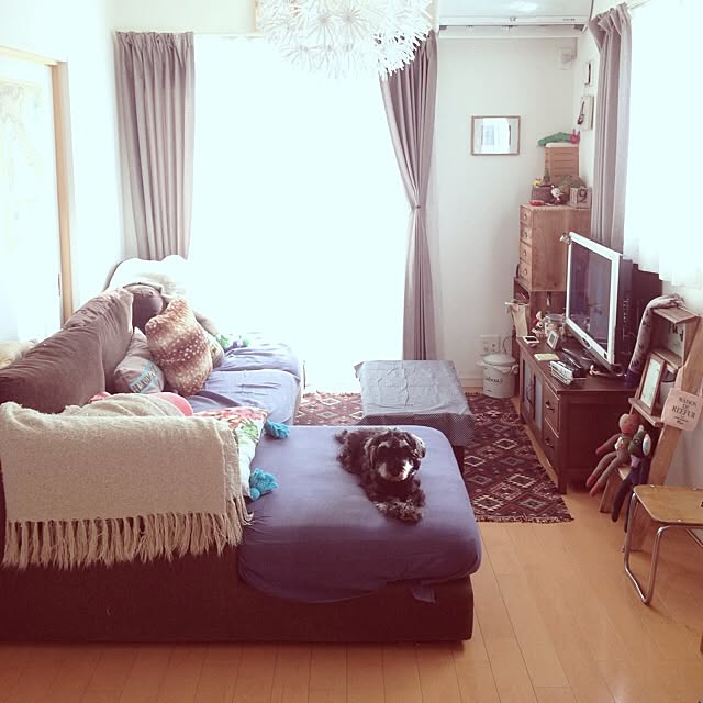 mojyaさんの実例写真