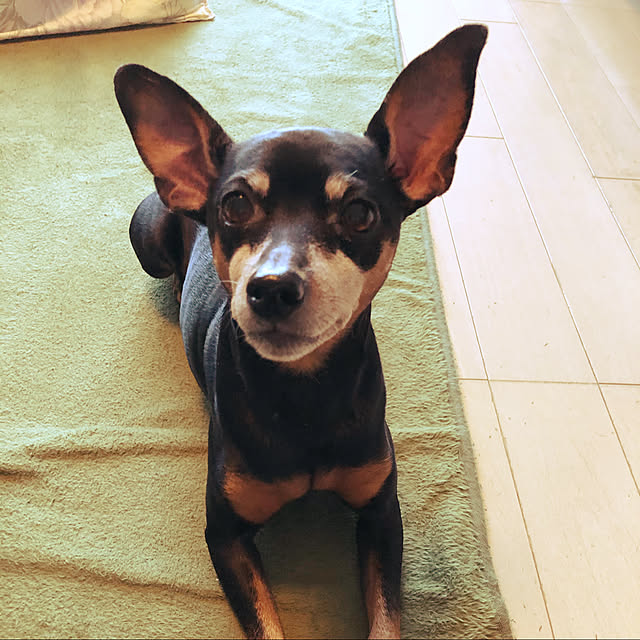 watanさんの実例写真