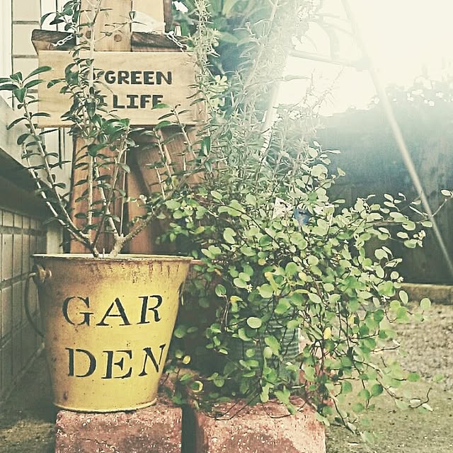 cafe-plageさんの実例写真