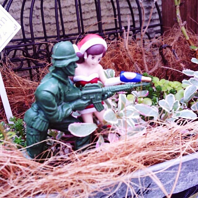 akr29さんの実例写真