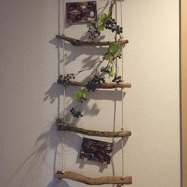 Tomoeさんの実例写真