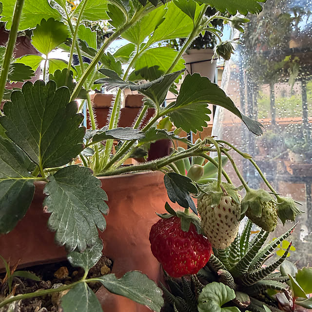 Aqettyさんの部屋