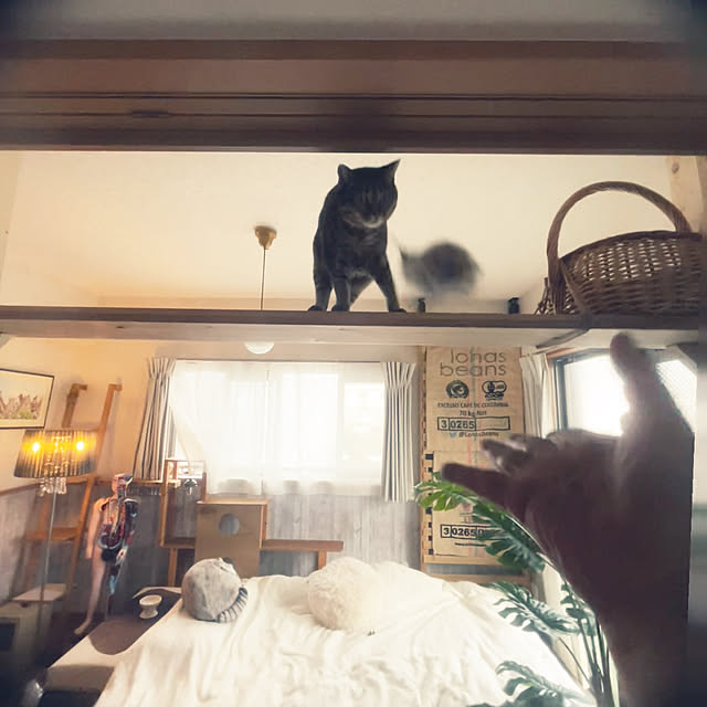 Mさんの部屋