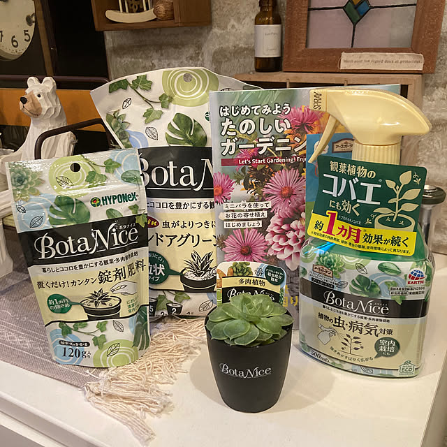 anko.hibuさんの実例写真