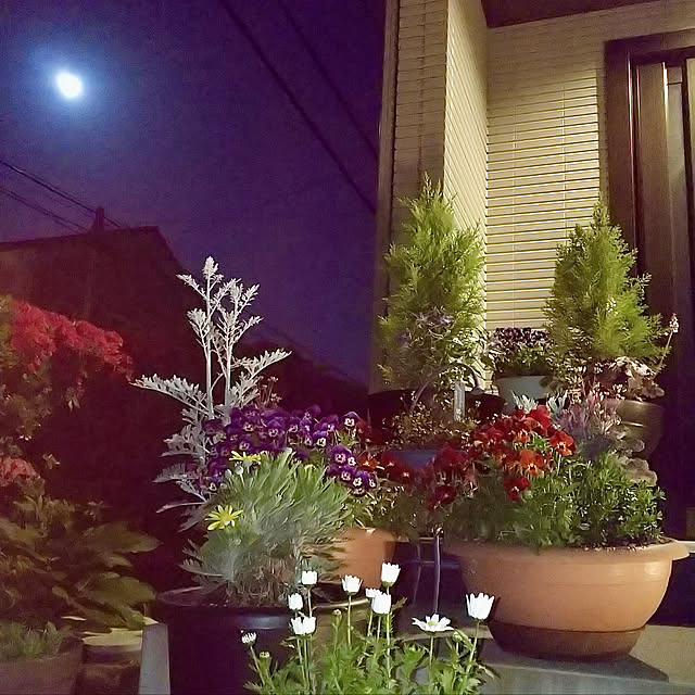 houenさんの実例写真