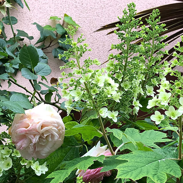 myumyu28さんの実例写真