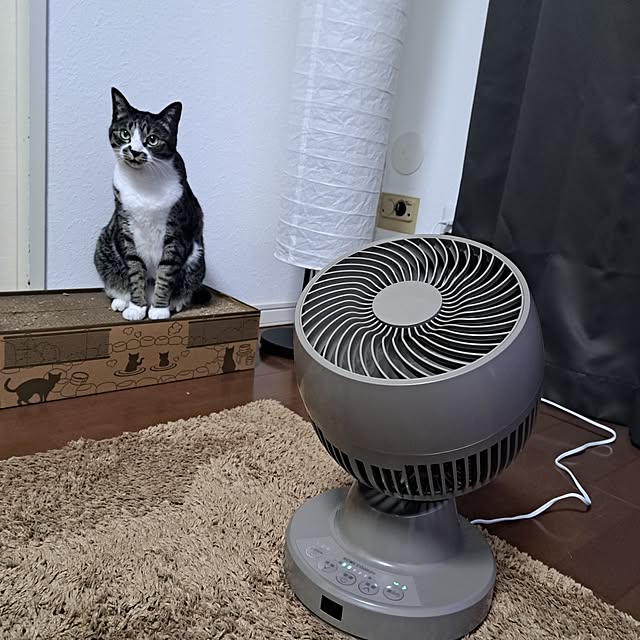 shinoさんの部屋
