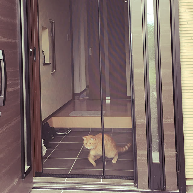 nekoさんの実例写真
