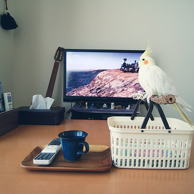 pontaさんの実例写真