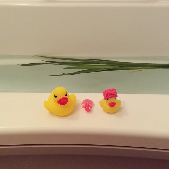 Hiromiさんの実例写真