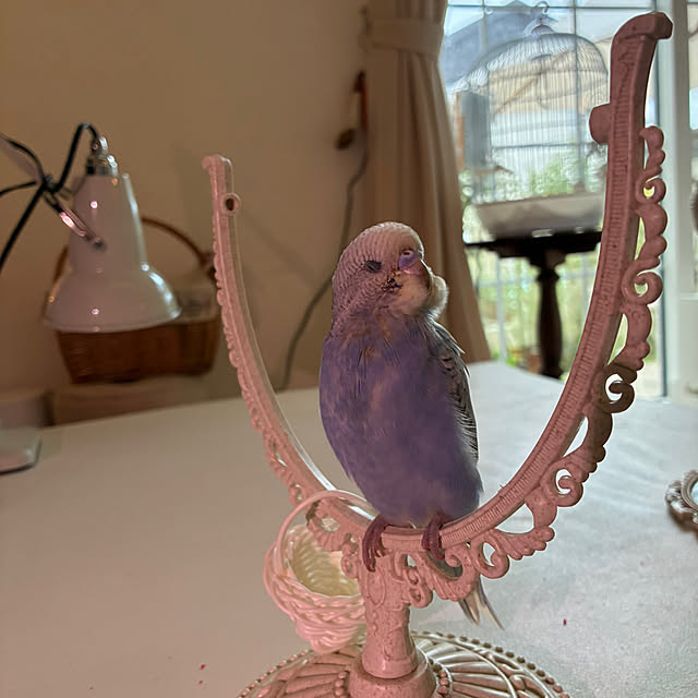 sakuraさんの部屋