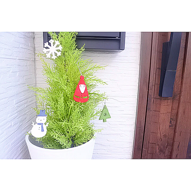 noriさんの実例写真