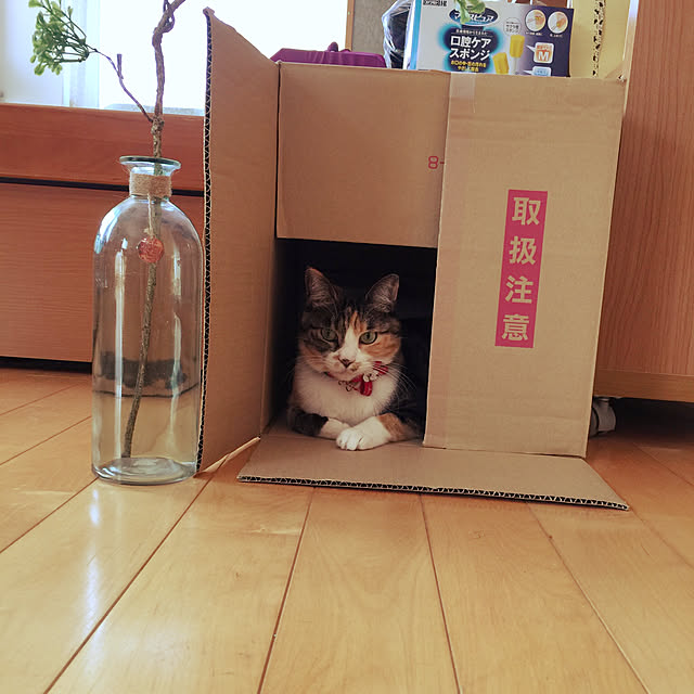 beemerさんの実例写真